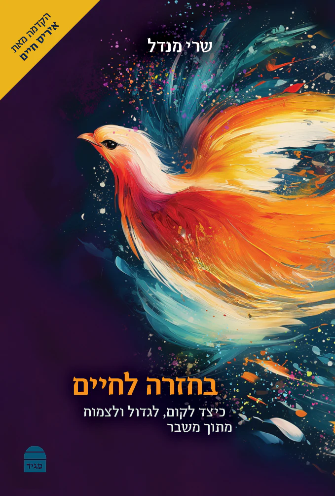 תמונת מוצר 3
