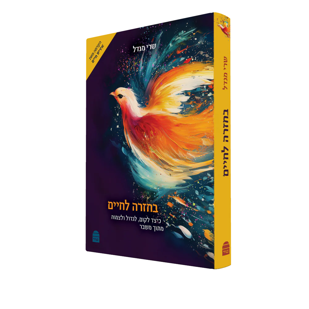 תמונת מוצר 2