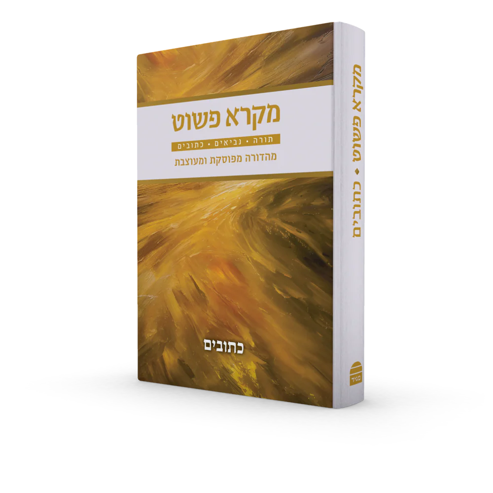 תמונת מוצר 3