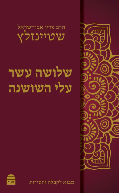 תמונת מוצר 1