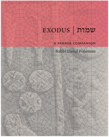 תמונה ממוזערת 1