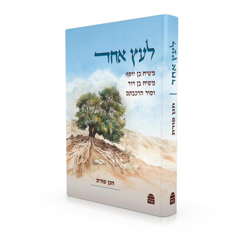 תמונת מוצר 2