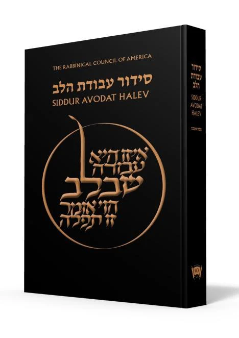תמונת מוצר 1