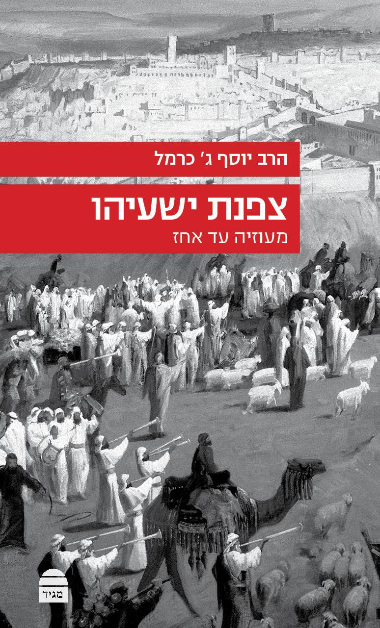 תמונת מוצר 1