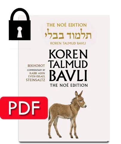 תמונת מוצר 1