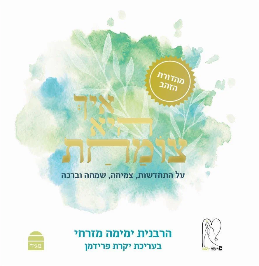 תמונת מוצר 1